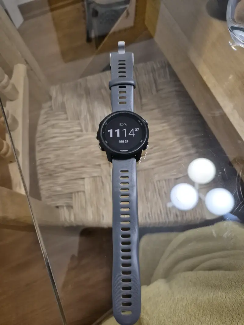 Reloj inteligente Garmin Forerunner 245 - 3