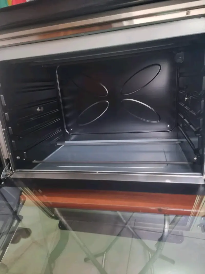 Horno eléctrico Thomas 100 litros con temporizador - 5