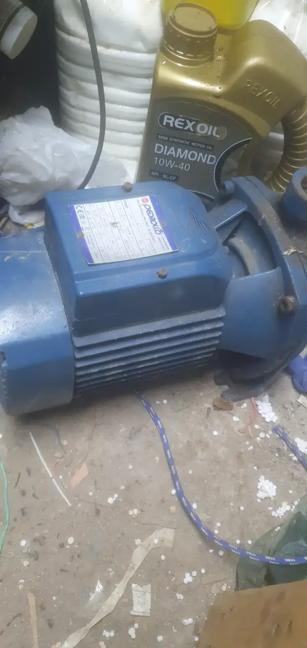 Bomba de agua Pedrollo azul