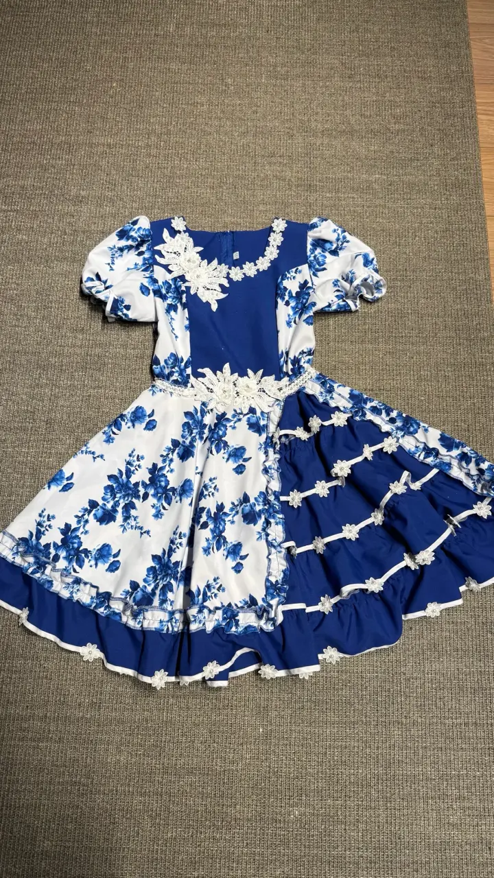 Vestidos de Cueca y Falso profesional - 1