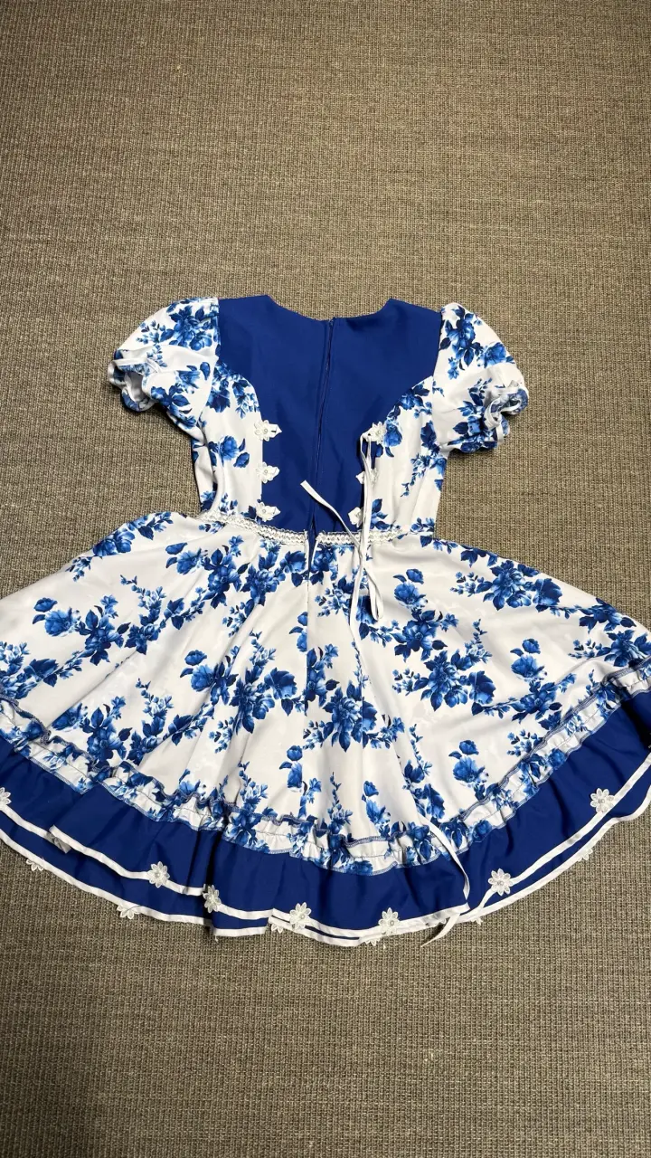 Vestidos de Cueca y Falso profesional - 2