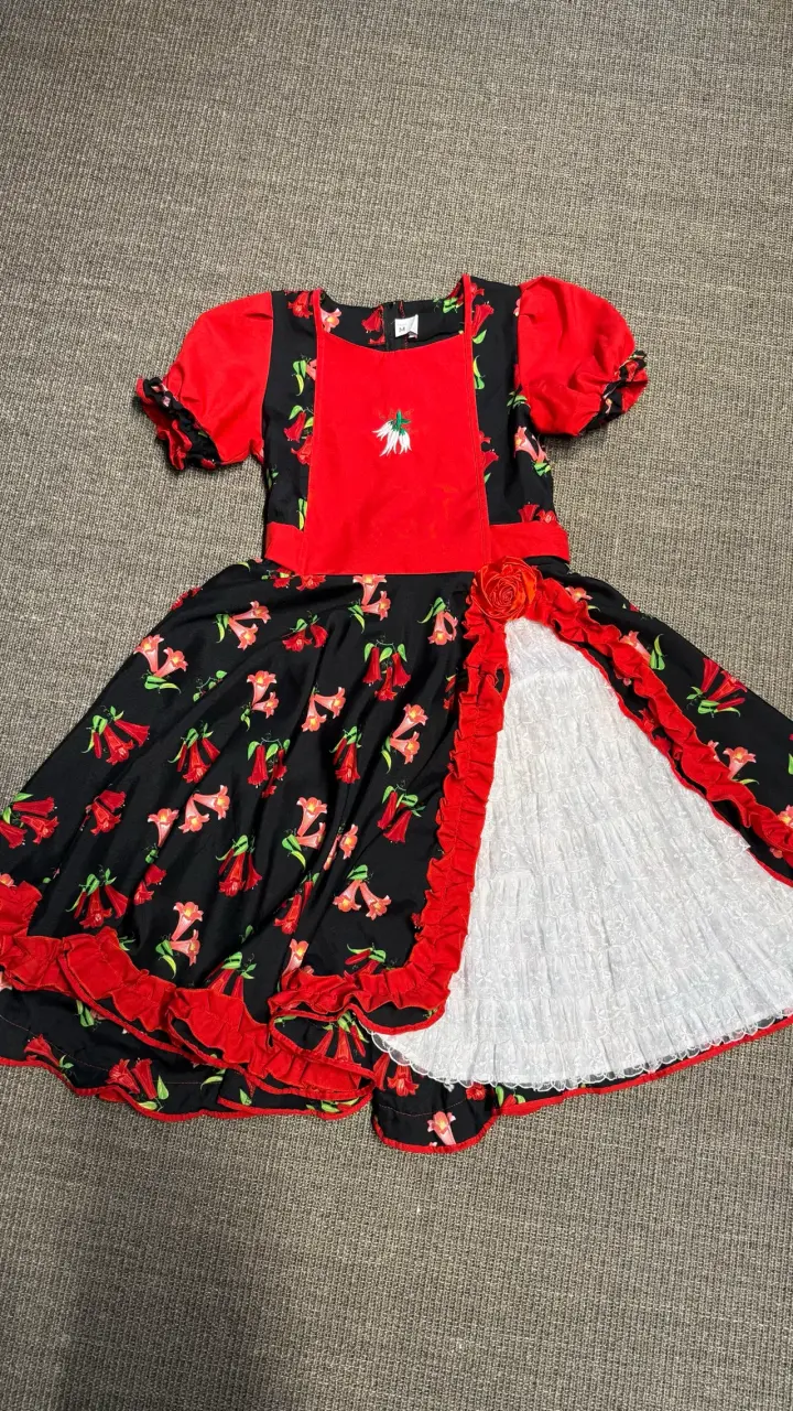 Vestidos de Cueca y Falso profesional - 3