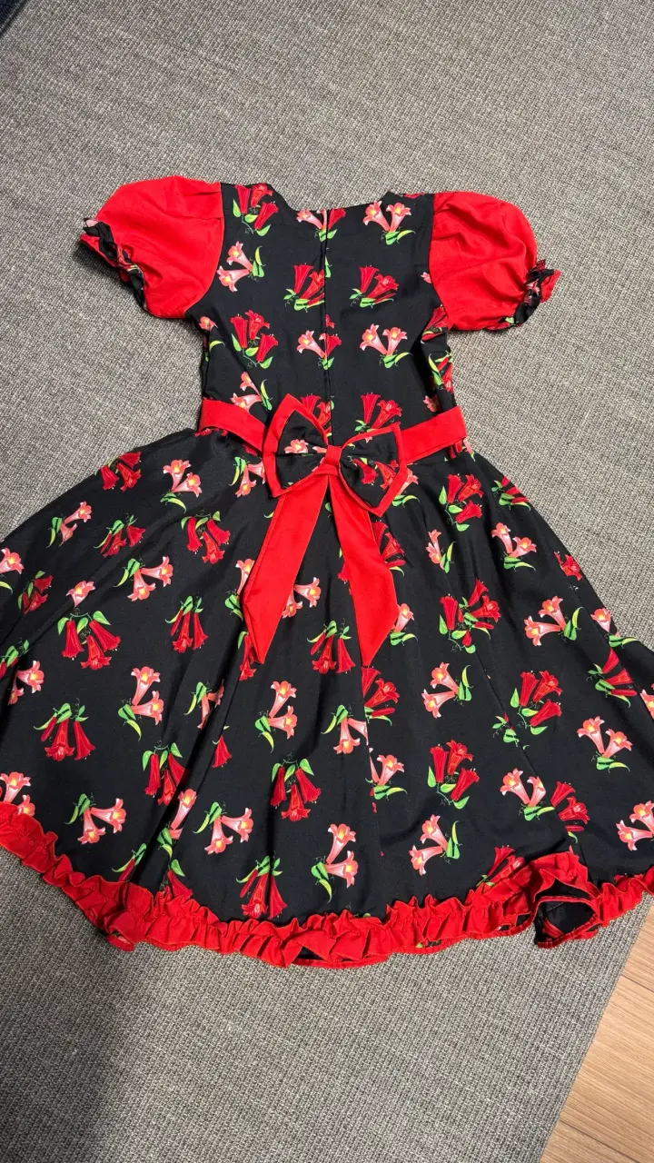 Vestidos de Cueca y Falso profesional - 4