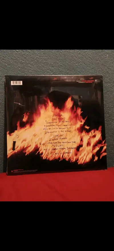 Vinilo Pantera Reinventing The Steel - miniatura 2