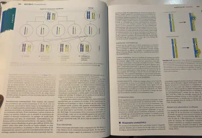 Libro Williams Obstetricia 25ª Edición McGraw Hill - miniatura 4