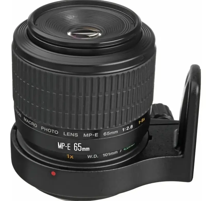 Lente macro Canon MP-E 65mm f/2.8 - 3