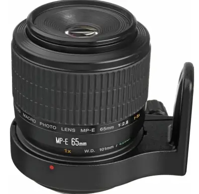 Lente macro Canon MP-E 65mm f/2.8 - miniatura 3