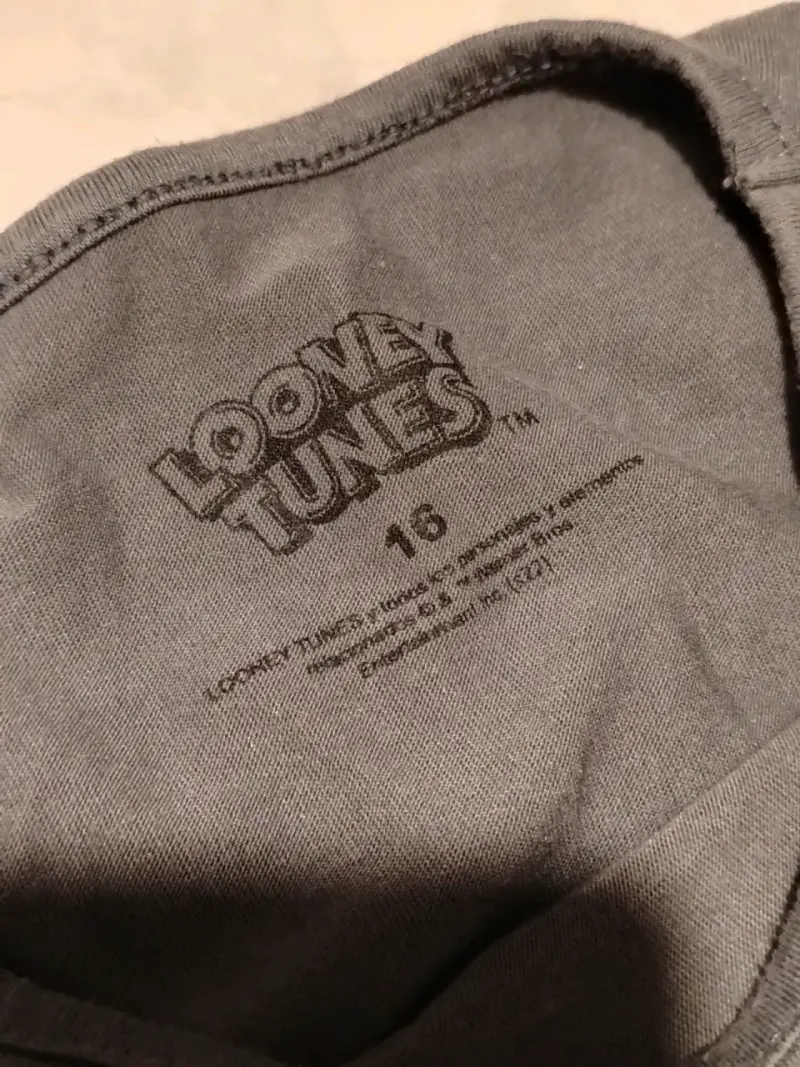 Polera Looney Tunes gris con diseño Tweety - 2