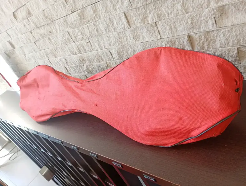 Patineta tipo waveboard roja con funda - 1