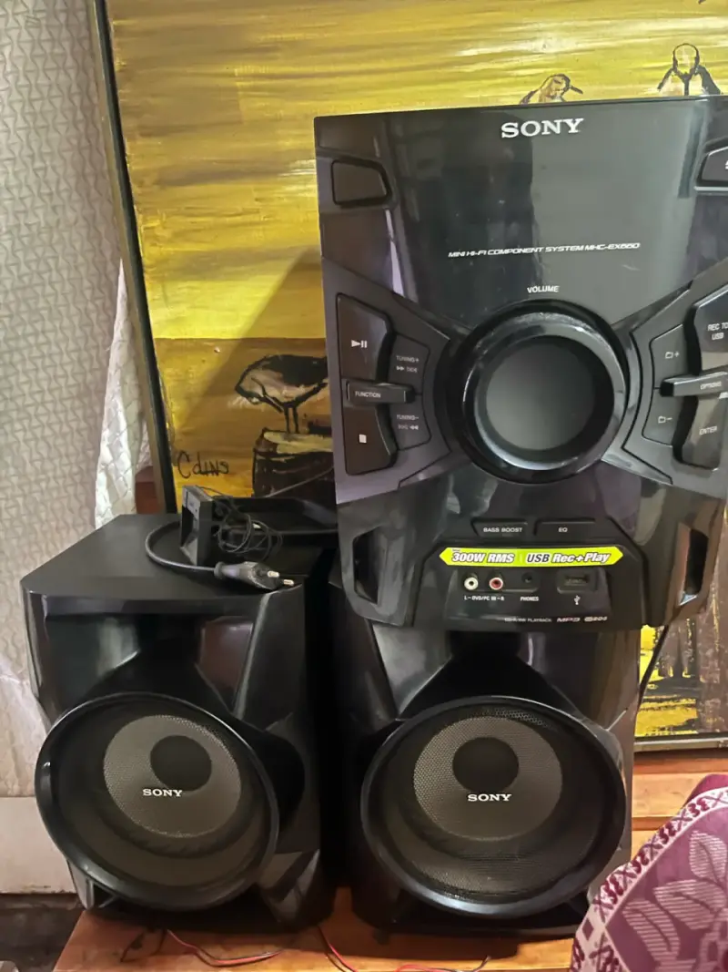 Sistema de sonido Sony con altavoces potentes