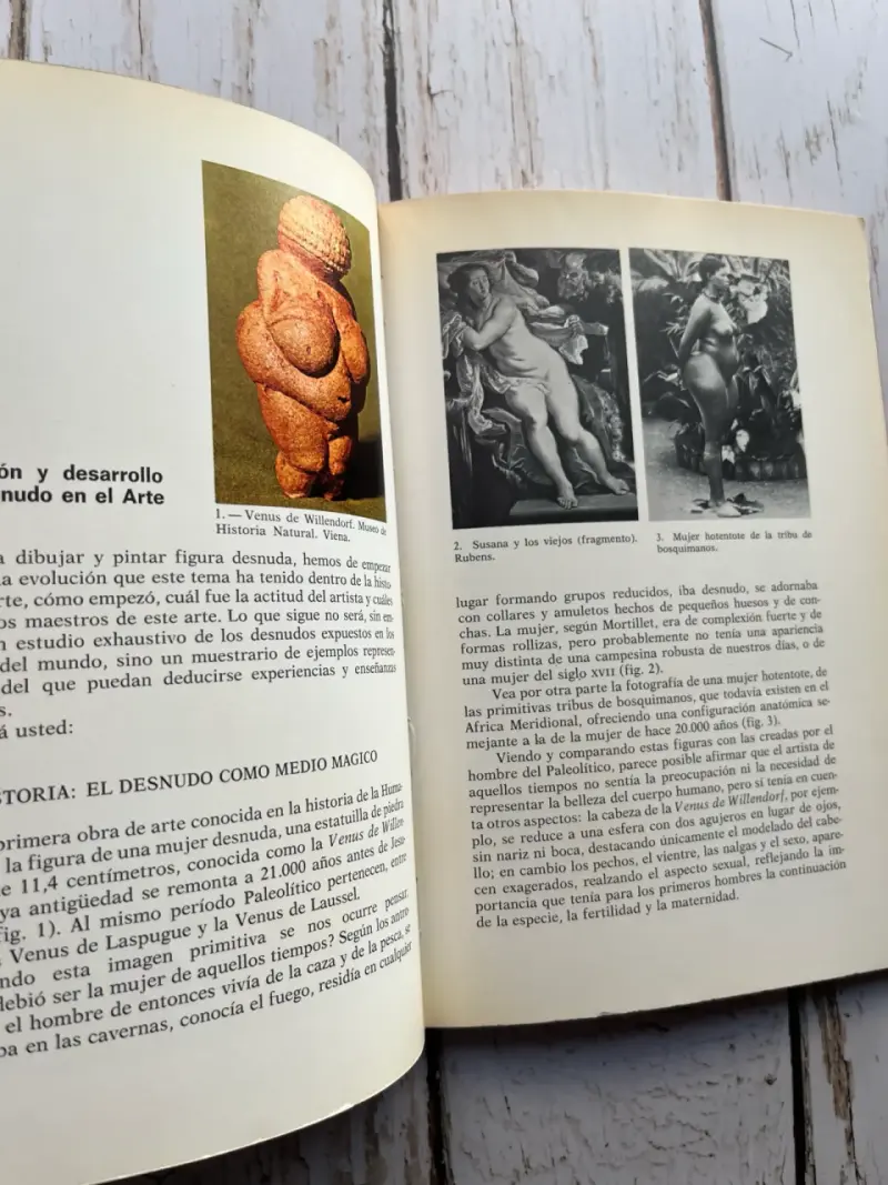 Libro 'El Desnudo al Óleo' de Francesc Serra - 4
