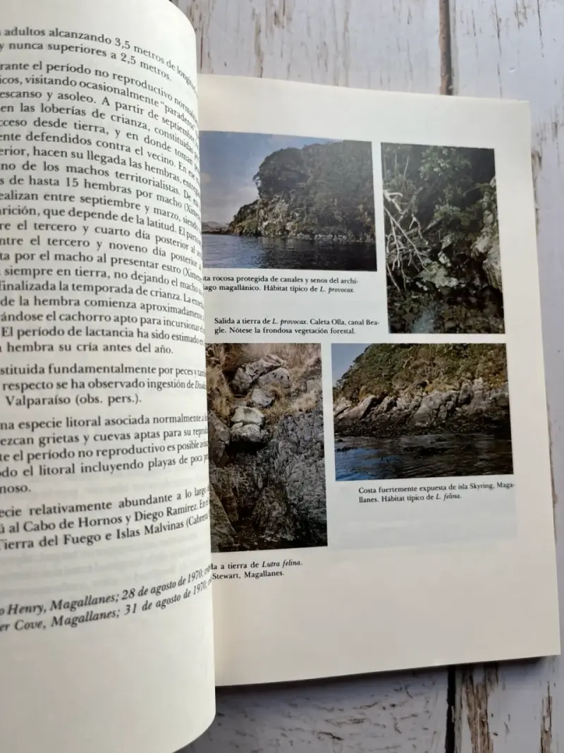 Mamíferos Marinos de Chile / Walter Sielfeld 1ED - 5