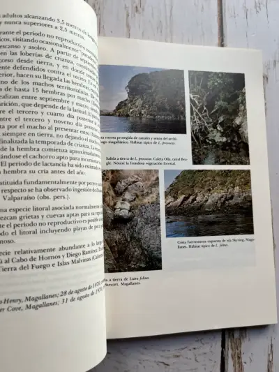 Mamíferos Marinos de Chile / Walter Sielfeld 1ED - miniatura 5