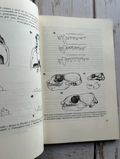 Mamíferos Marinos de Chile / Walter Sielfeld 1ED - miniatura 6