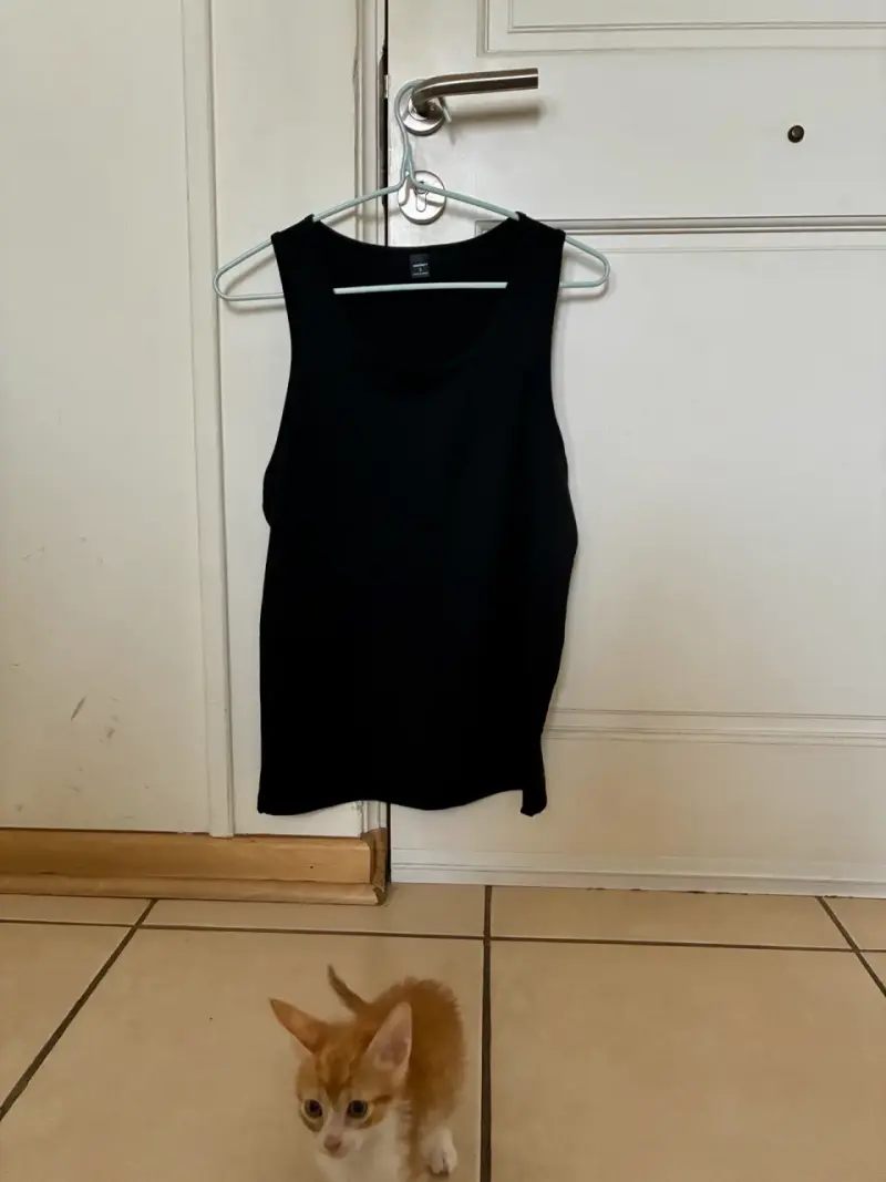 MUSCULOSAS NUEVAS - 1
