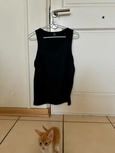 MUSCULOSAS NUEVAS - miniatura 1