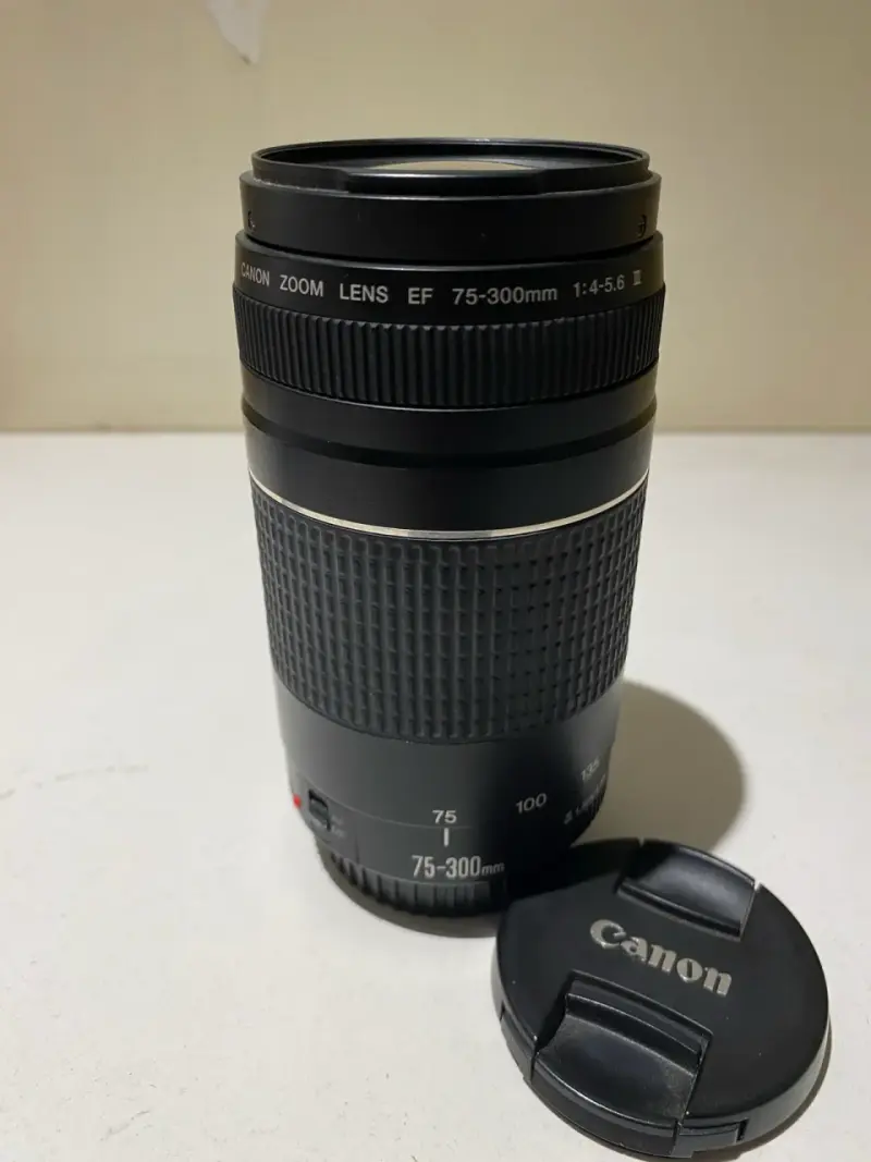 Lente Canon Zoom EF 75-300mm f/4-5.6 III - 1