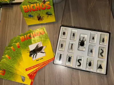 Colección de Insectos en Resina - miniatura 1