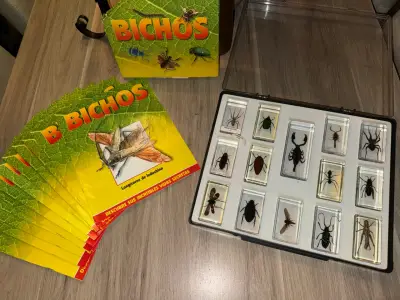 Colección de Insectos en Resina - miniatura 2