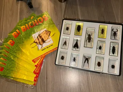 Colección de Insectos en Resina - miniatura 3