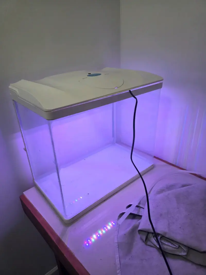 Acuario con luz LED para peces - 1