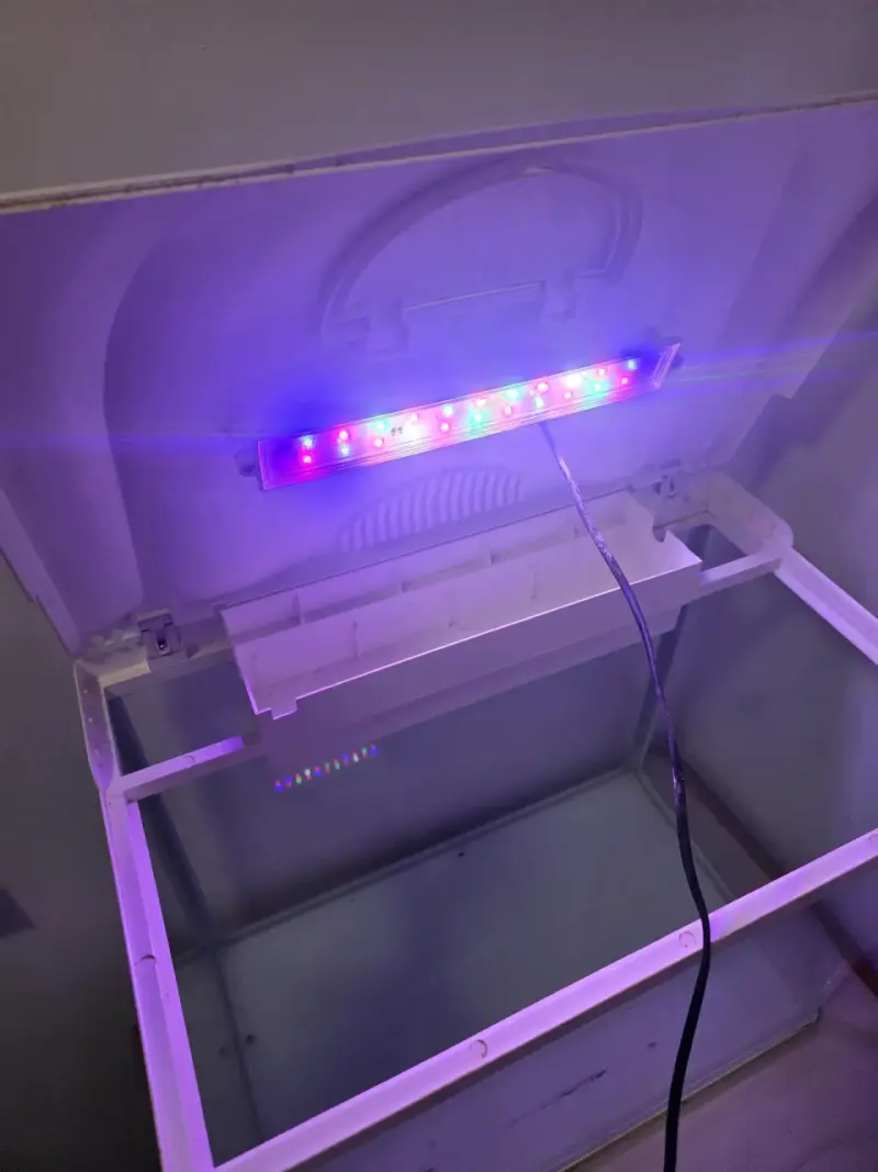 Acuario con luz LED para peces - 2