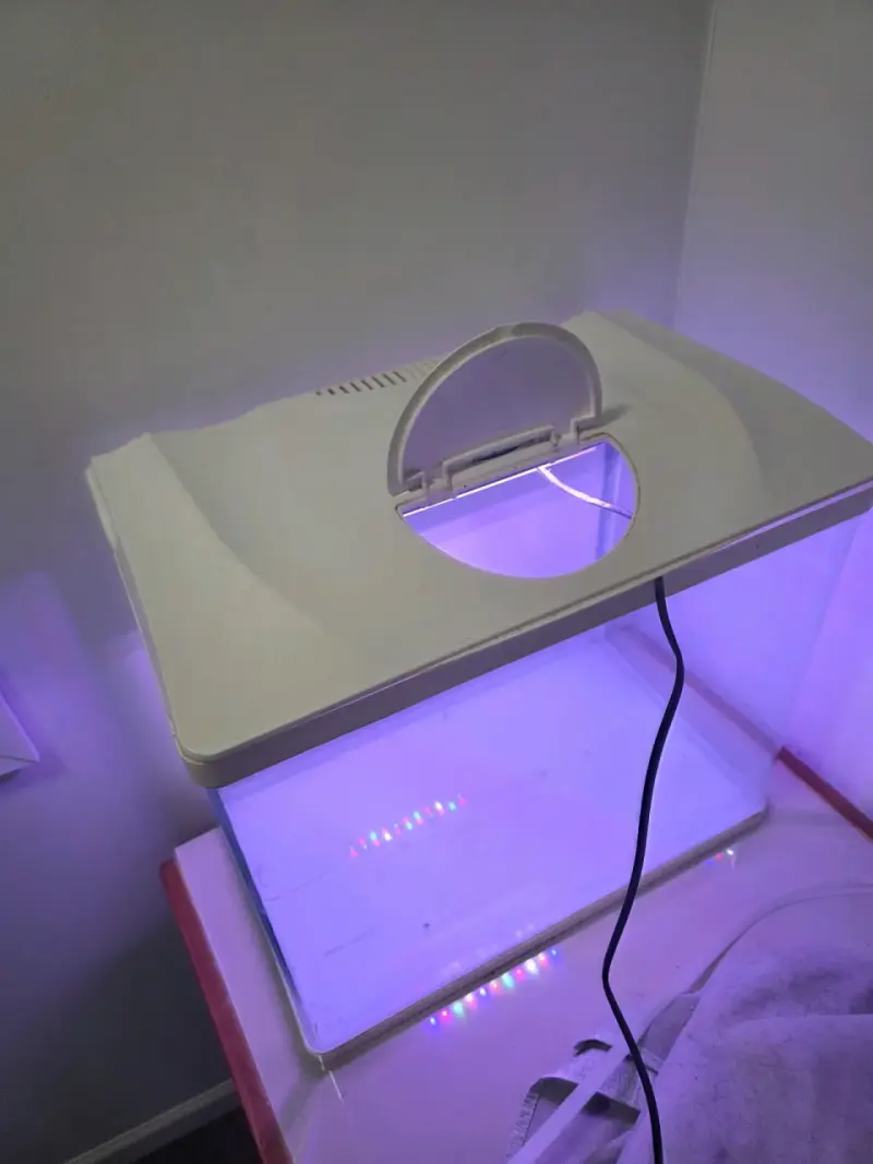 Acuario con luz LED para peces - 3
