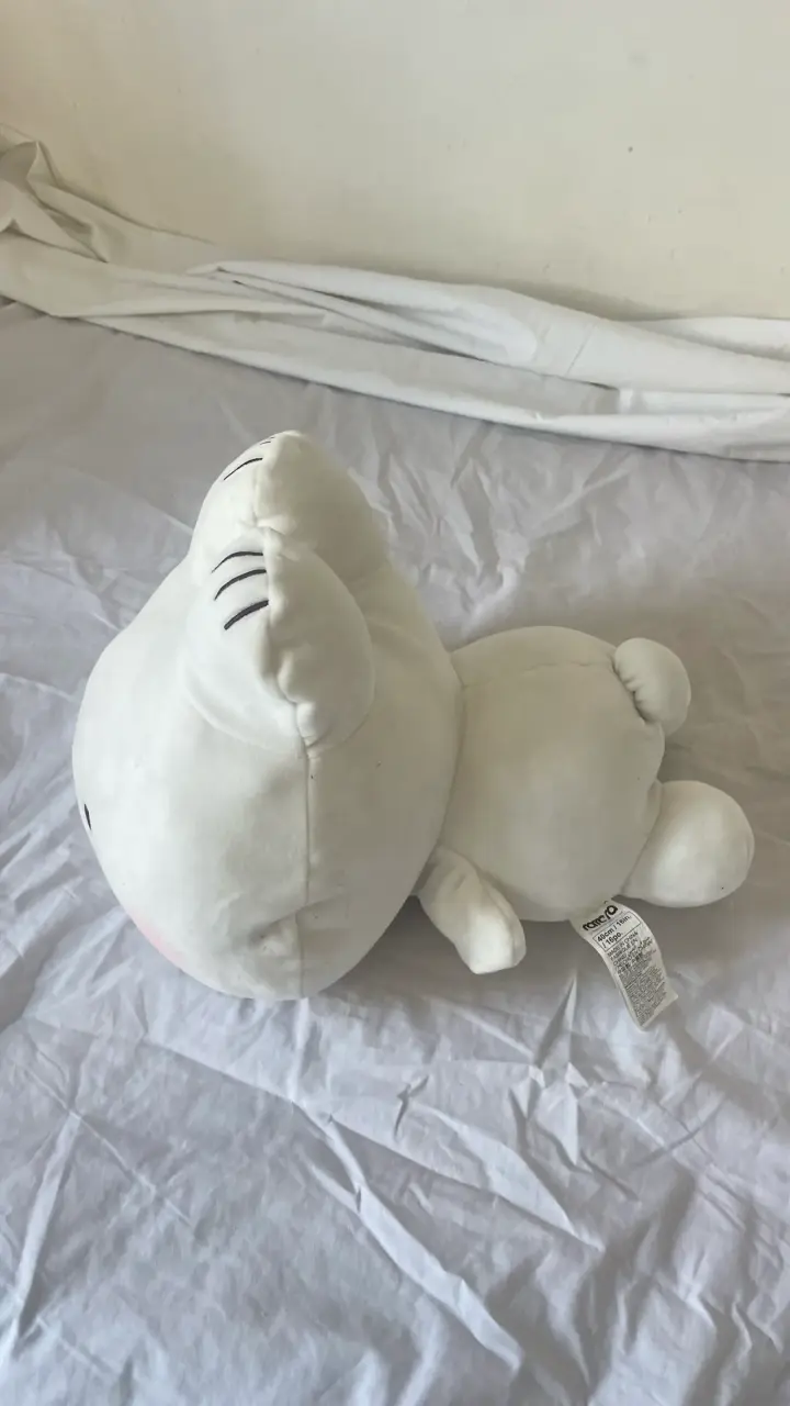 Peluche miniso - 3