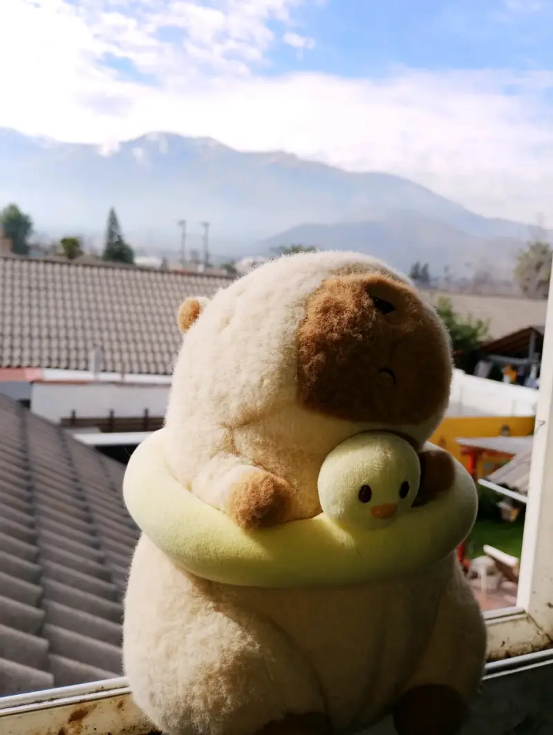Peluche de animal con flotador amarillo - 2