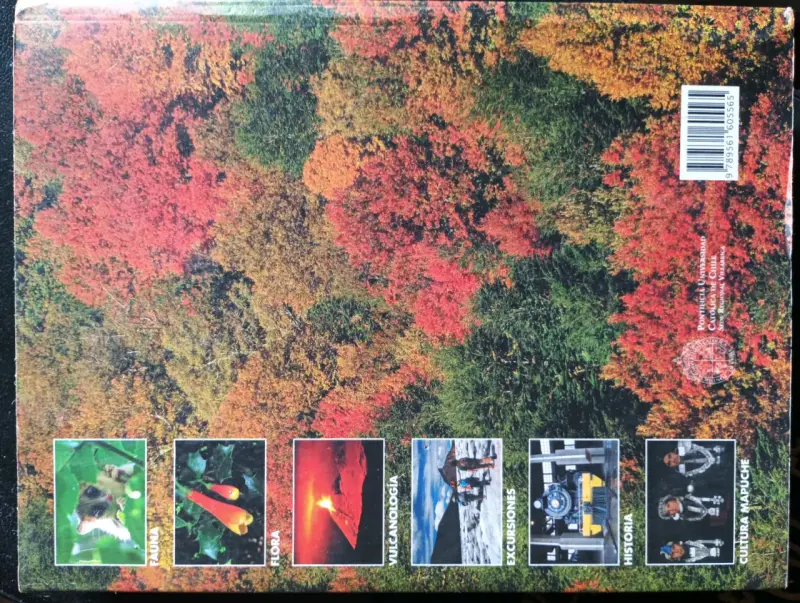 Libro Araucanía Chile Patrimonio Natural-Cultural - 2