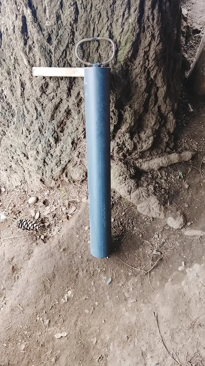 Máquinas camaronera para sacar camarones de Vega 🦐 - 3