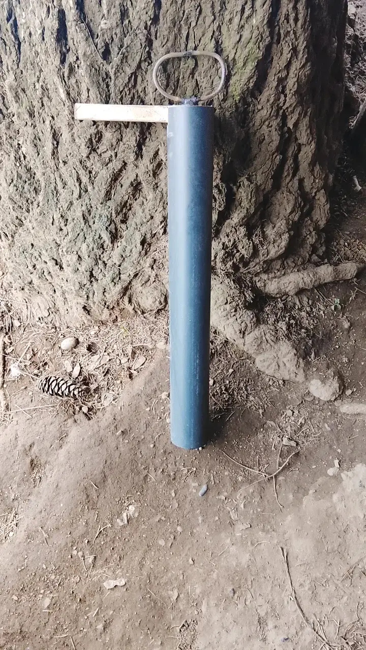 Máquinas camaronera para sacar camarones de Vega 🦐 - 4