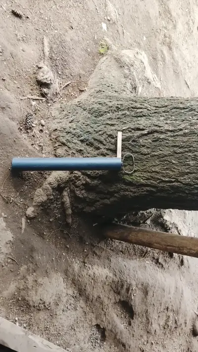 Máquinas camaronera para sacar camarones de Vega 🦐 - miniatura 5