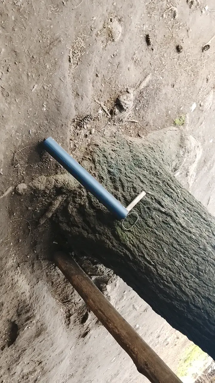 Máquinas camaronera para sacar camarones de Vega 🦐 - 6