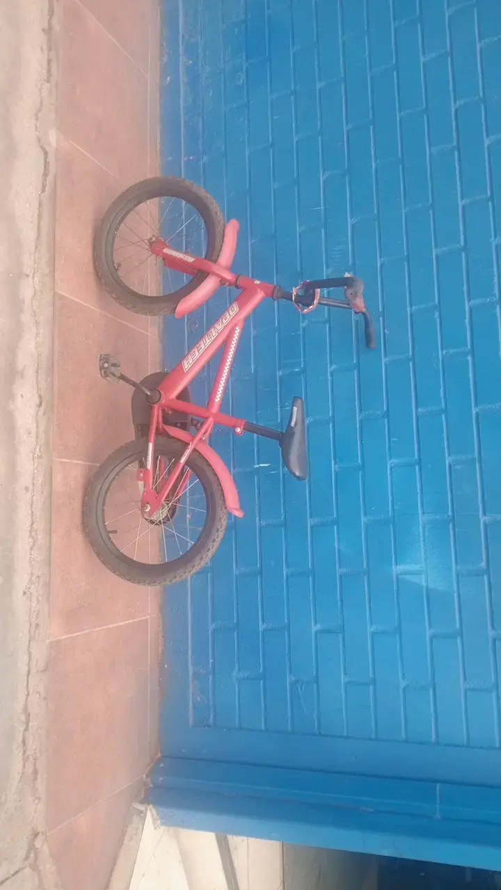 Bicicleta infantil roja para niños