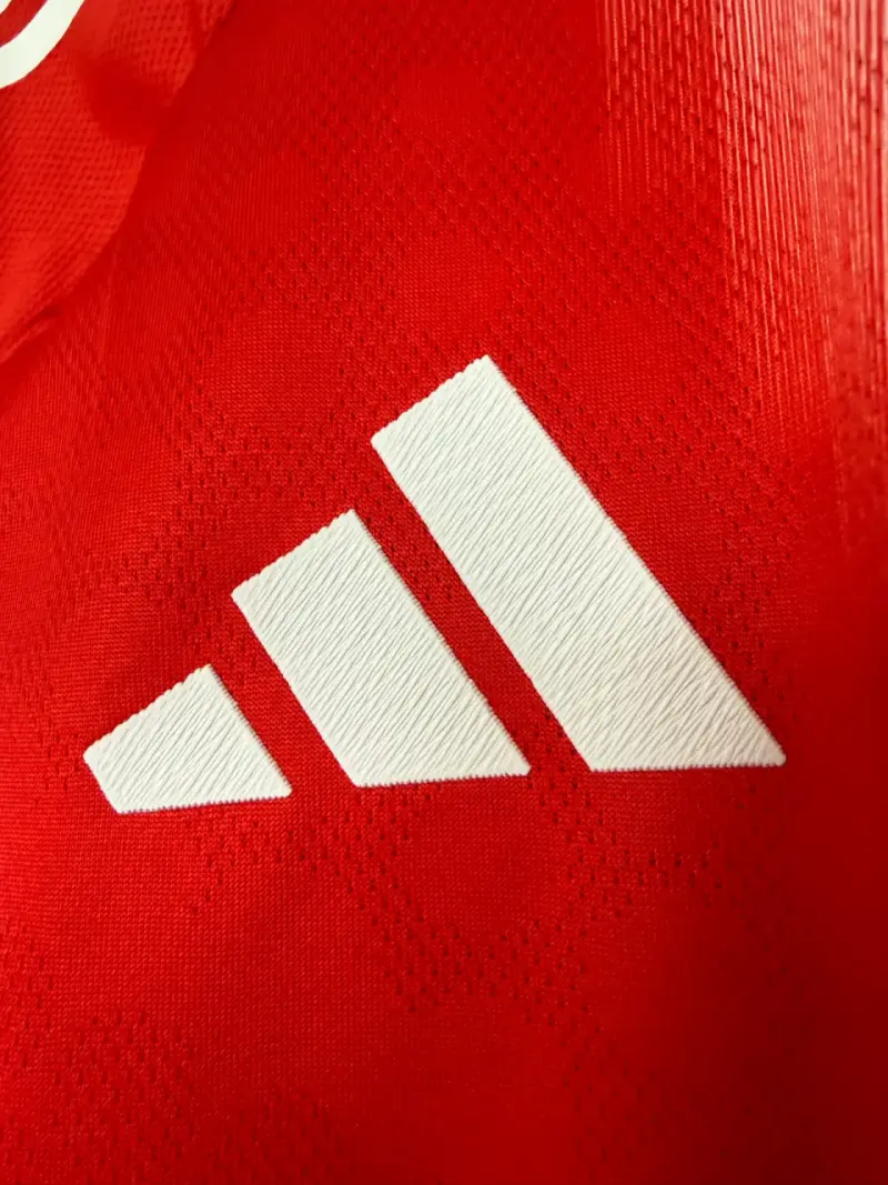 Camiseta FC Bayern München Luis Díaz XL - 6