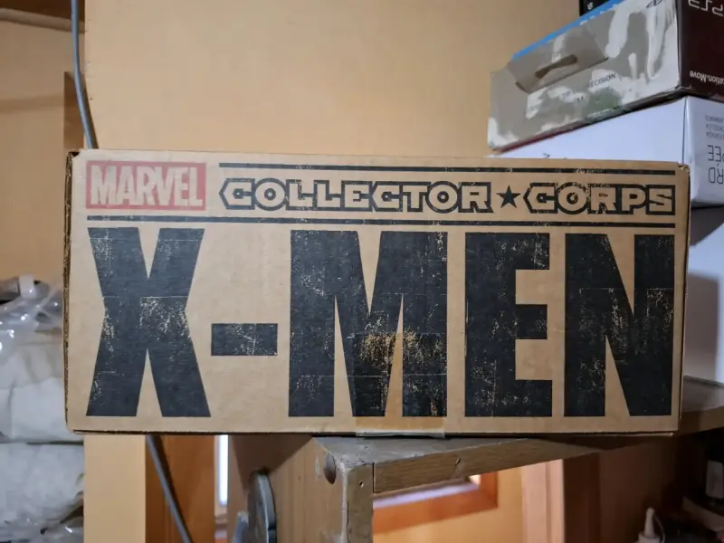 Caja de Colección Marvel X-Men Collector Corps - 1