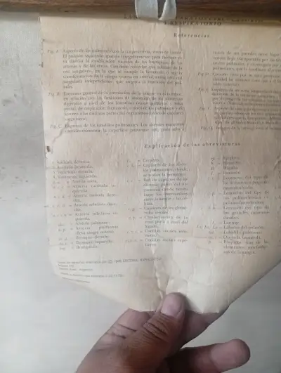 Lámina Educativa antigua - miniatura 2