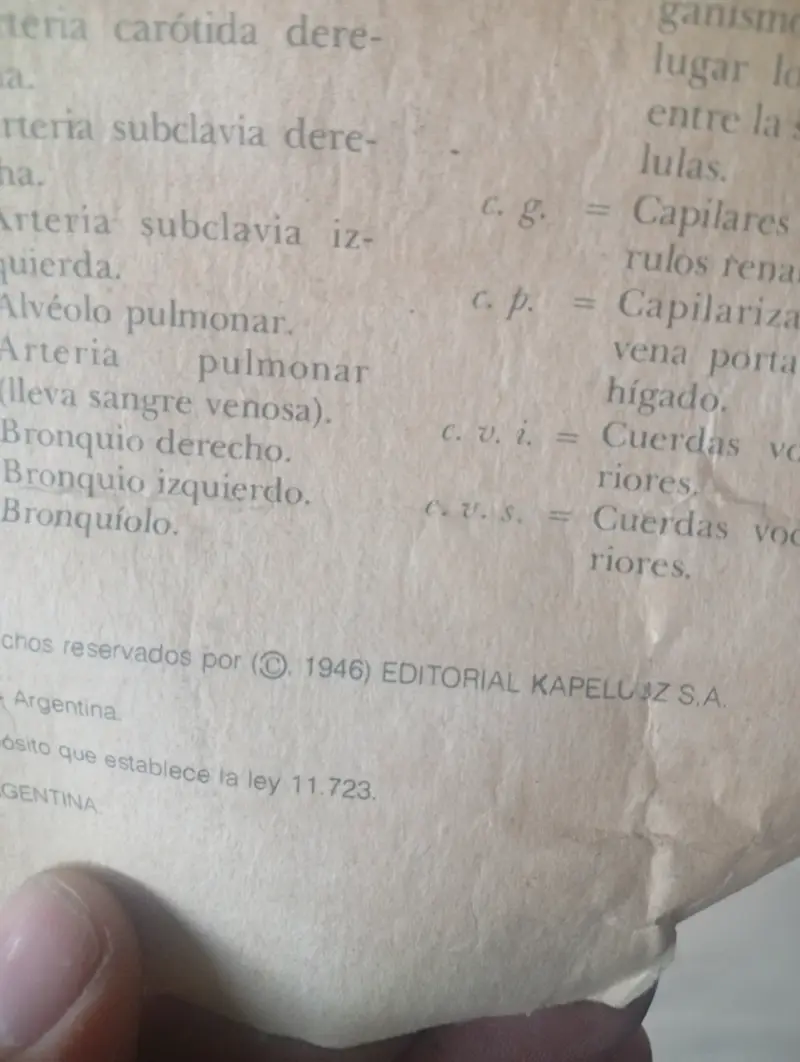 Lámina Educativa antigua - 3