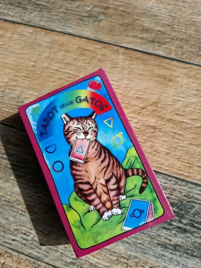 Cartas de Tarot Rider - miniatura 1