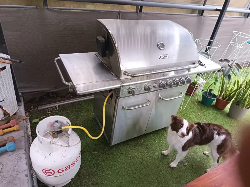 Parrilla a gas de acero inoxidable FDV - 1