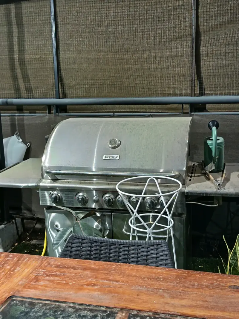 Parrilla a gas de acero inoxidable FDV - 2
