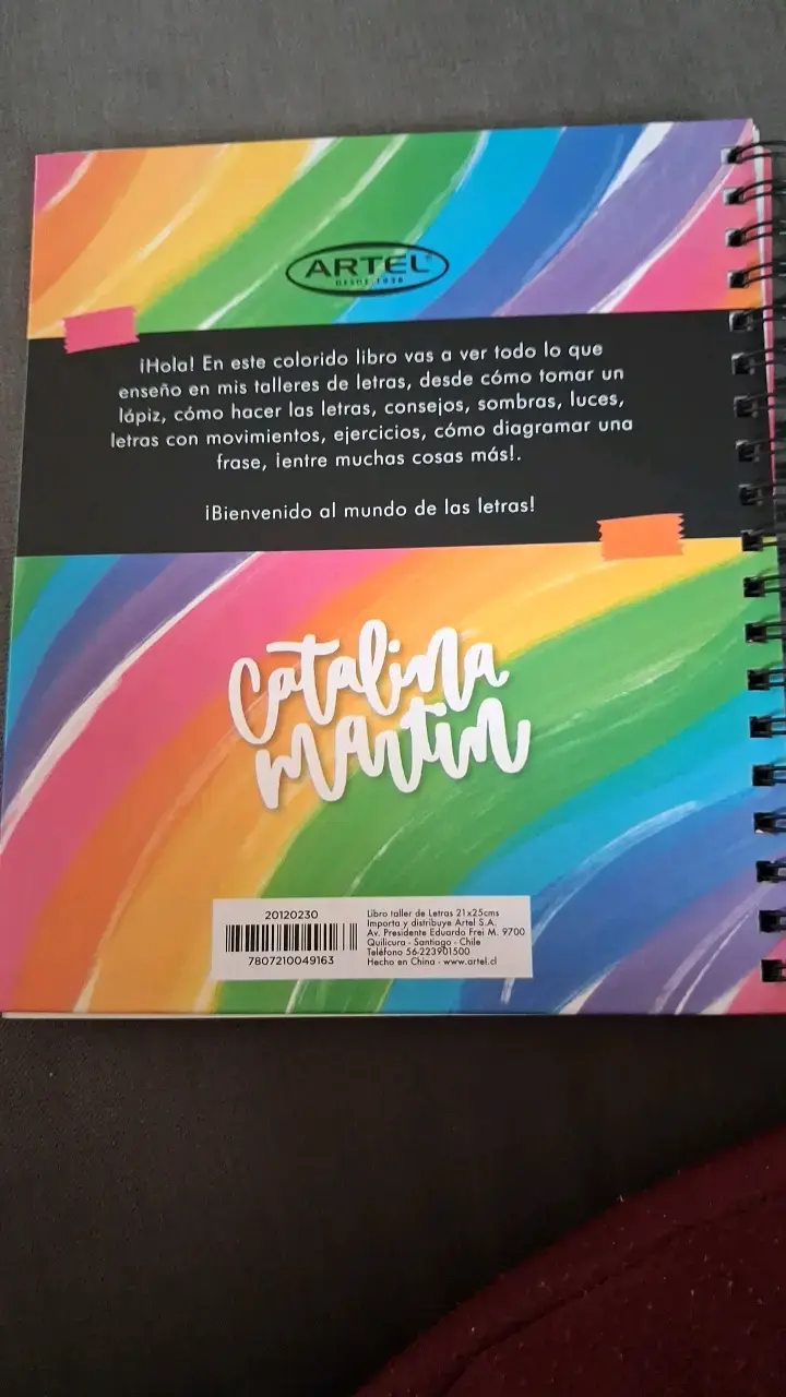 Libro Taller de Letras Artel Catalina Martin - 2