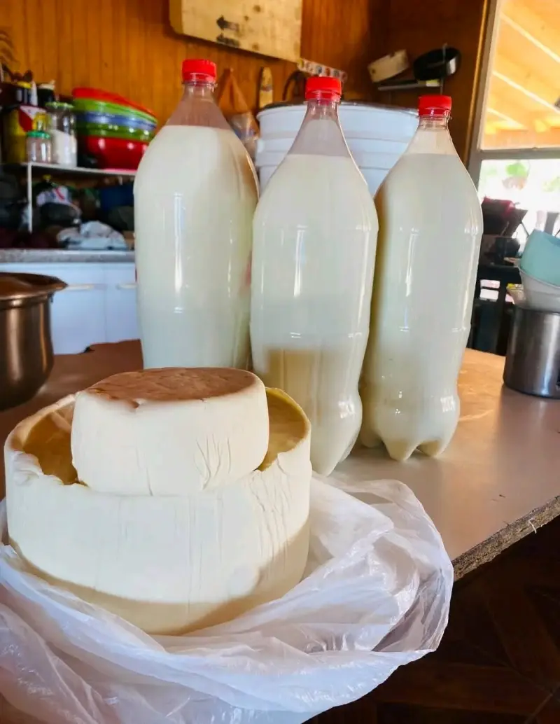 leche fresca de campo de vaca A2 y de cabra - 1
