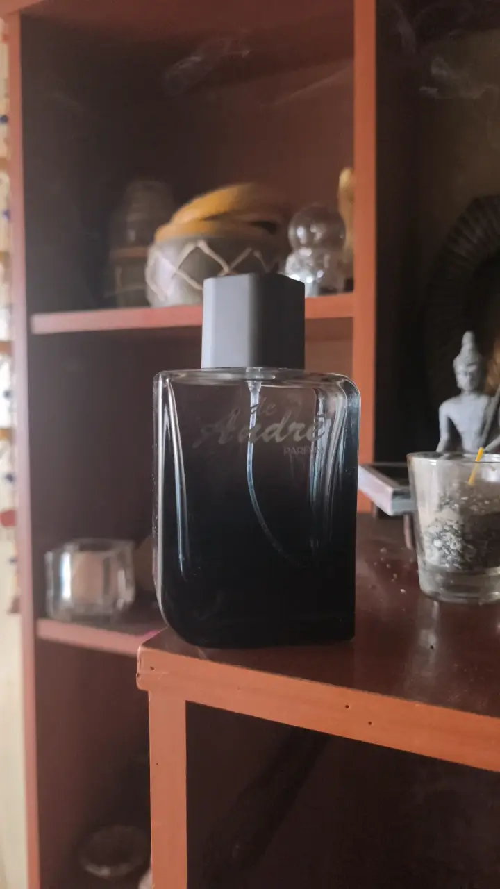 Perfume de André para hombre 100 ml - 2