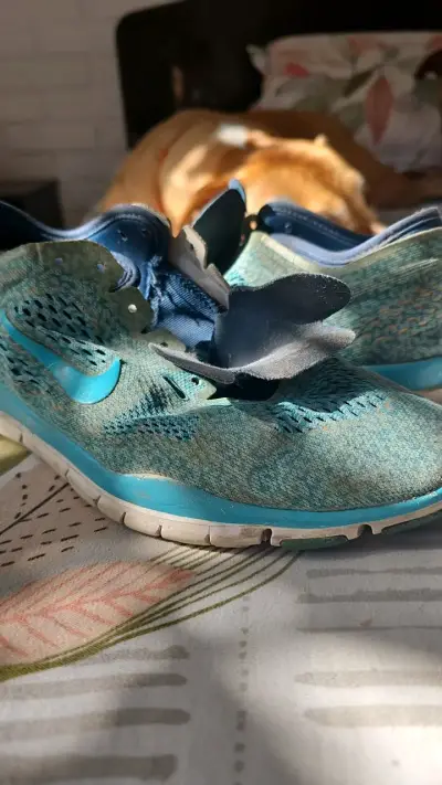 Zapatillas deportivas Nike azules desgastadas - miniatura 2