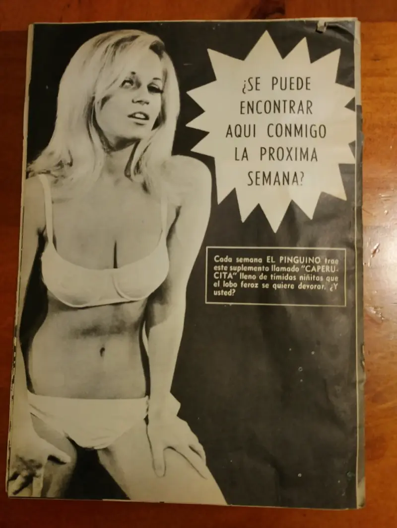 Revistas Caperucita para Niños Grandes Año 1 - 4
