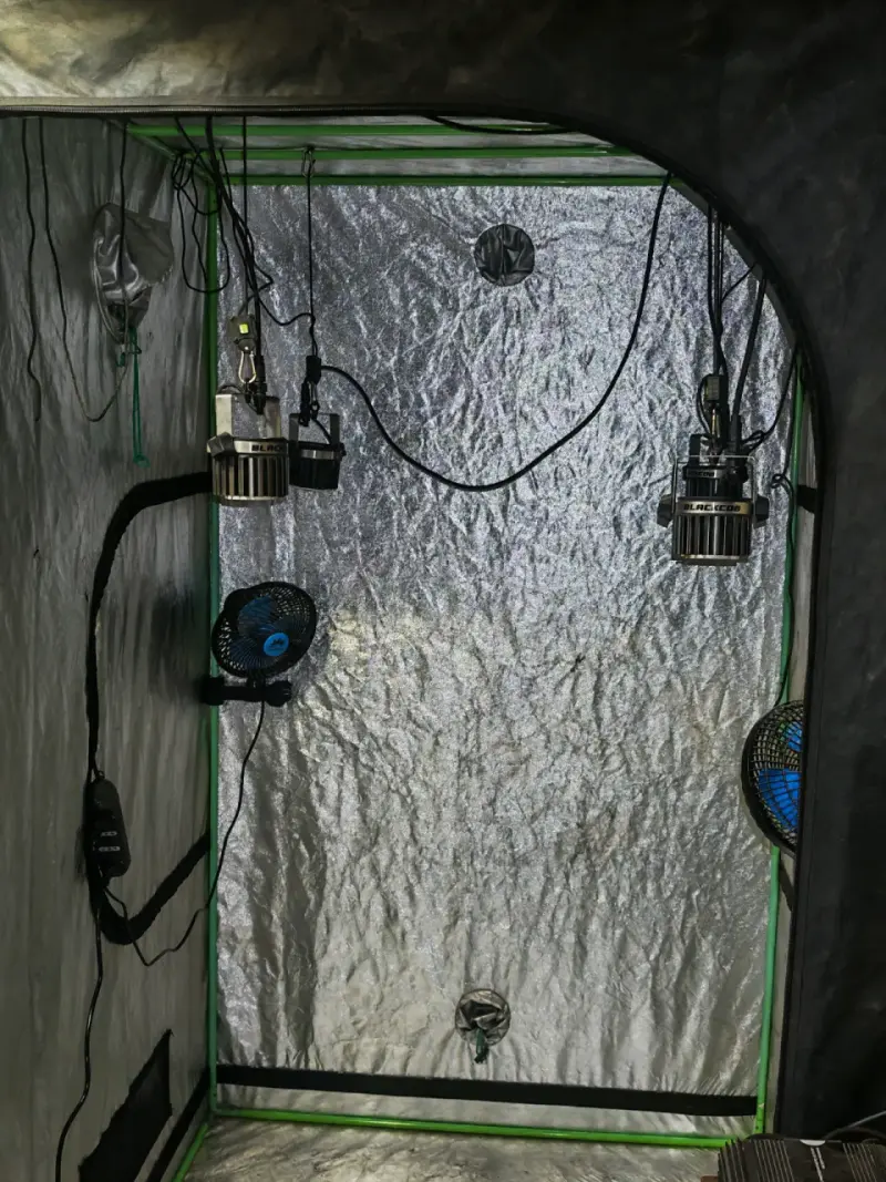 Carpa de cultivo interior con ventiladores y luces