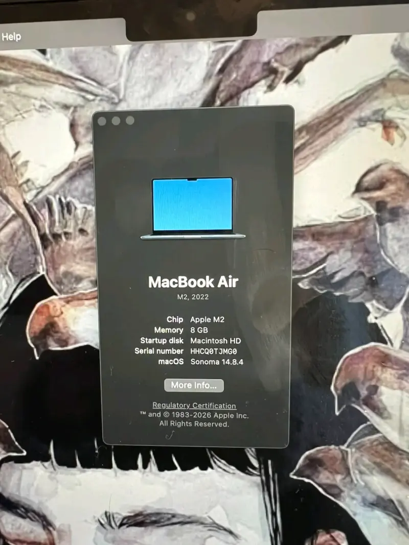 MacBook Air M2 256GB - 2
