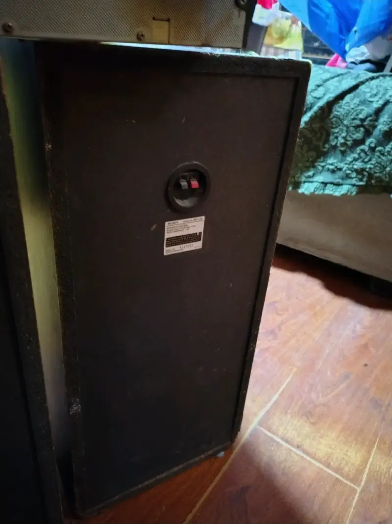 Sistema de sonido Sony con radio FM y USB - 3